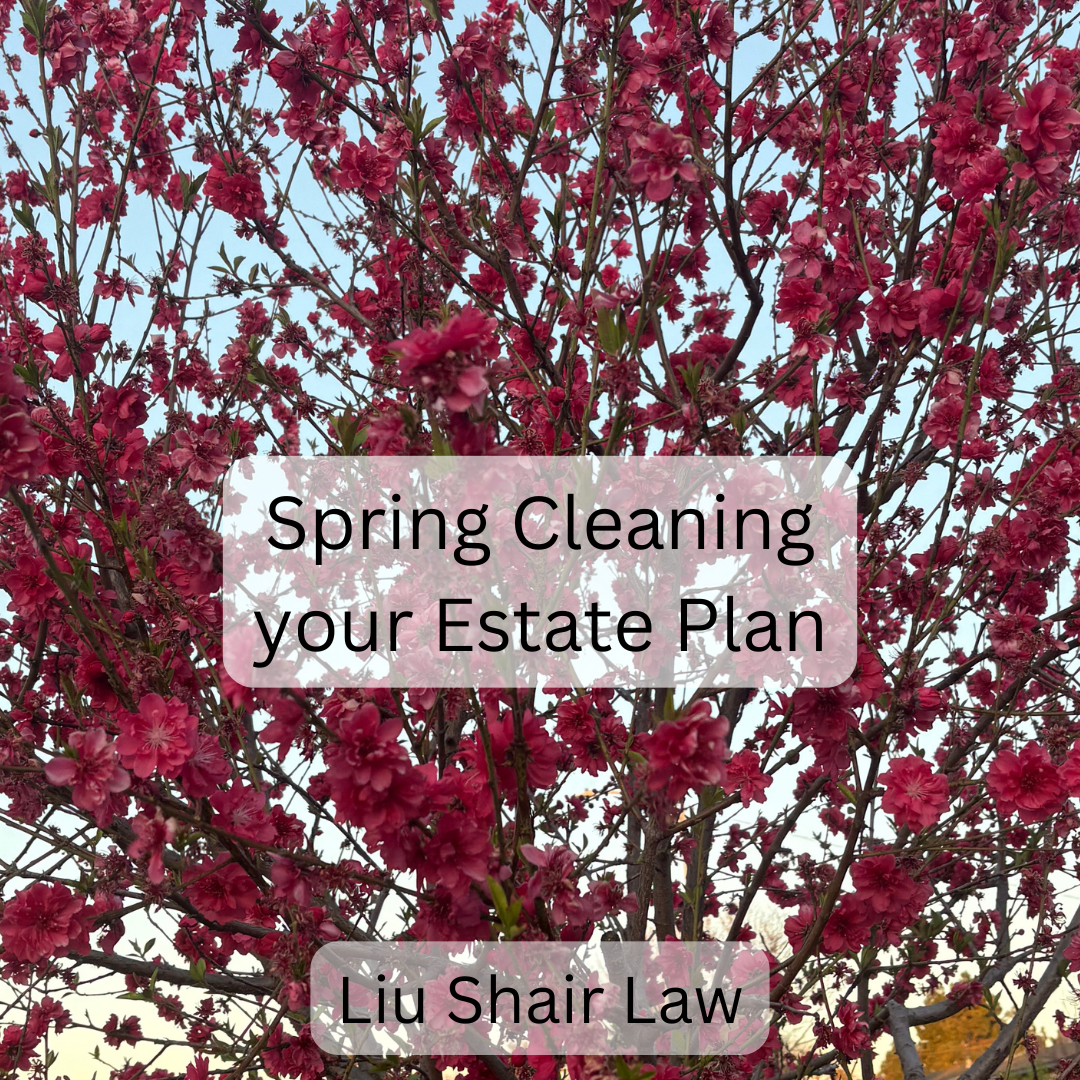 Spring Cleaning your Estate Plan