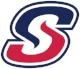 SCS Secondary Logo.jpg