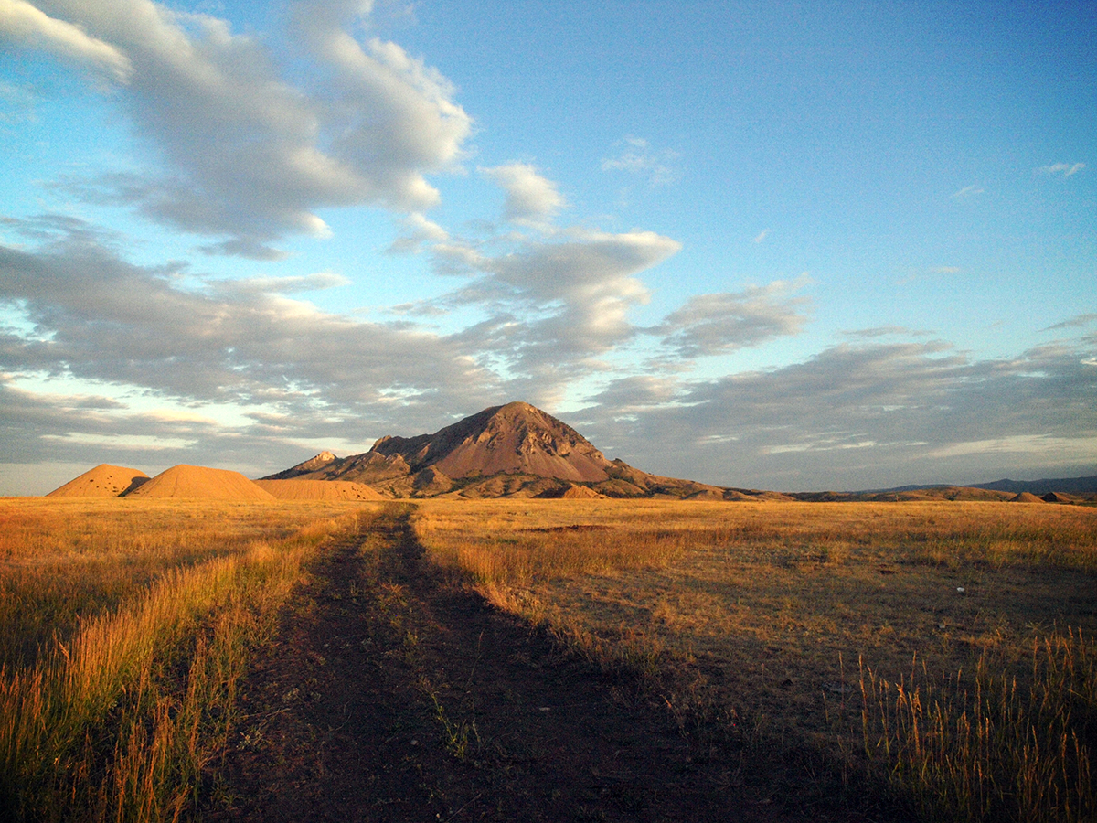 phLandscape4.jpg