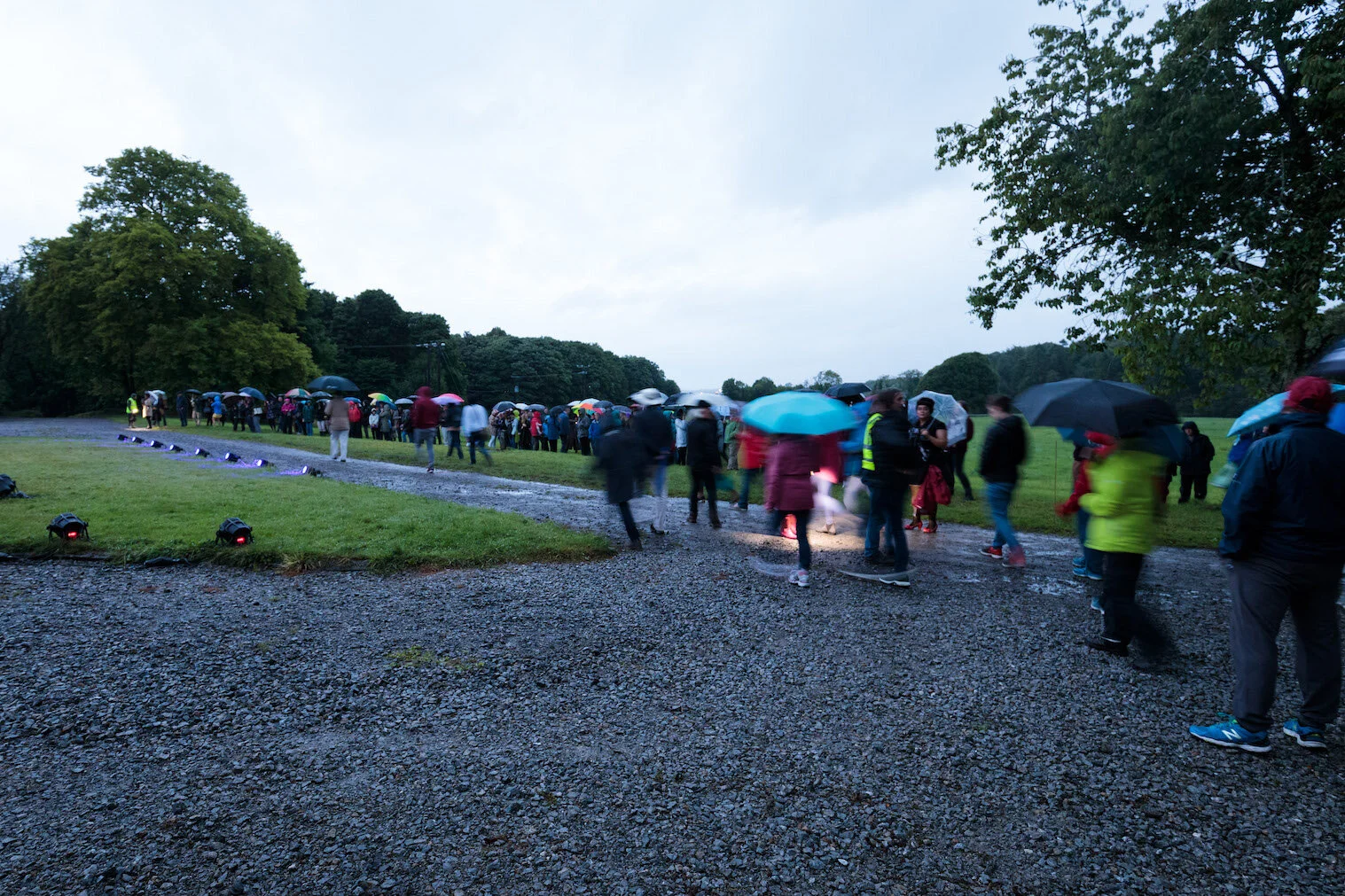 Purgatory | Hazelwood