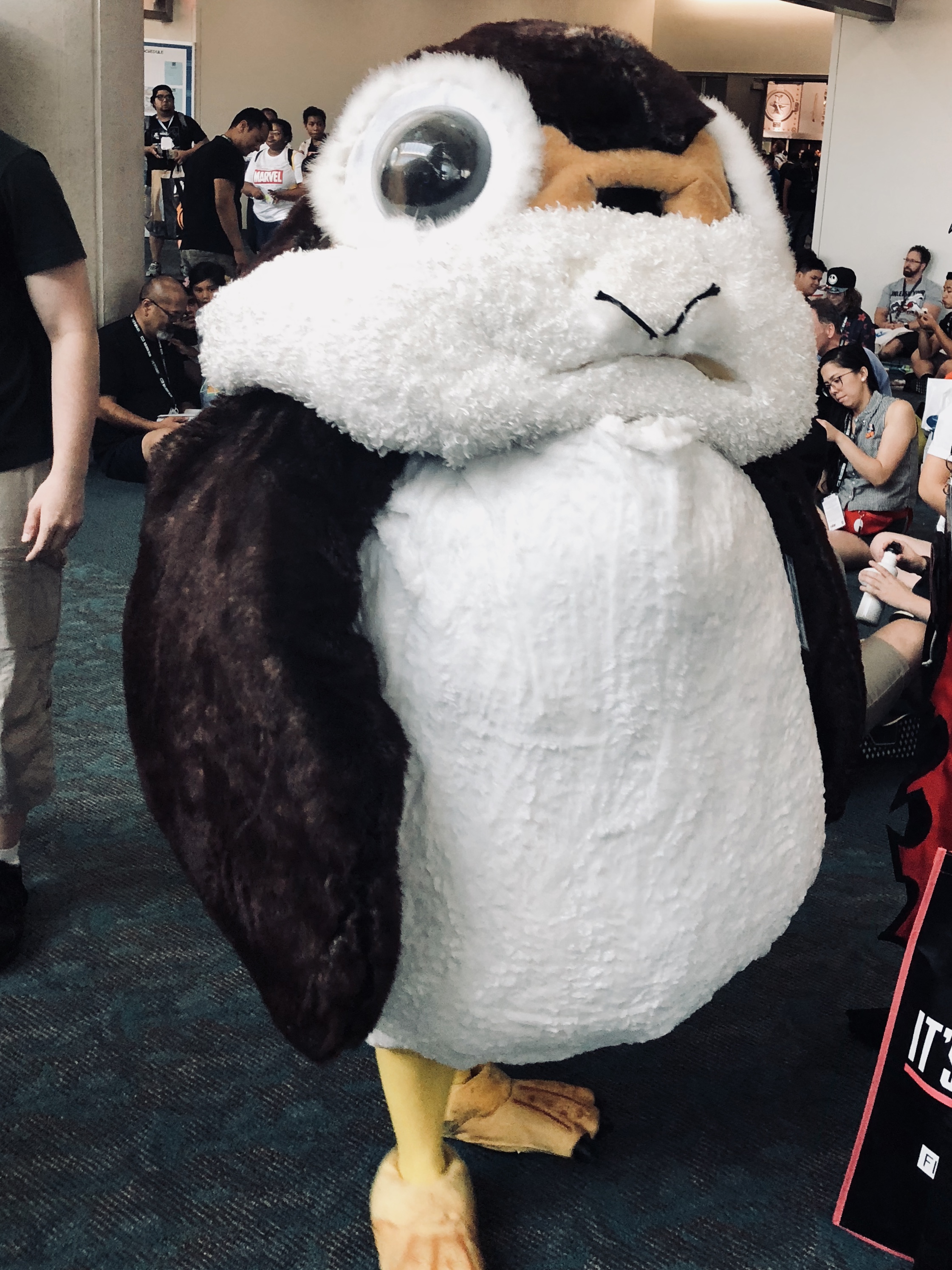 I thought porgs were small and cute…