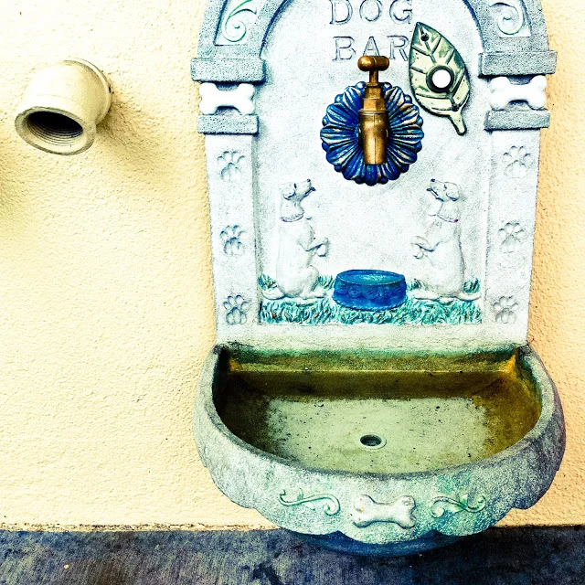 photo-16.jpg