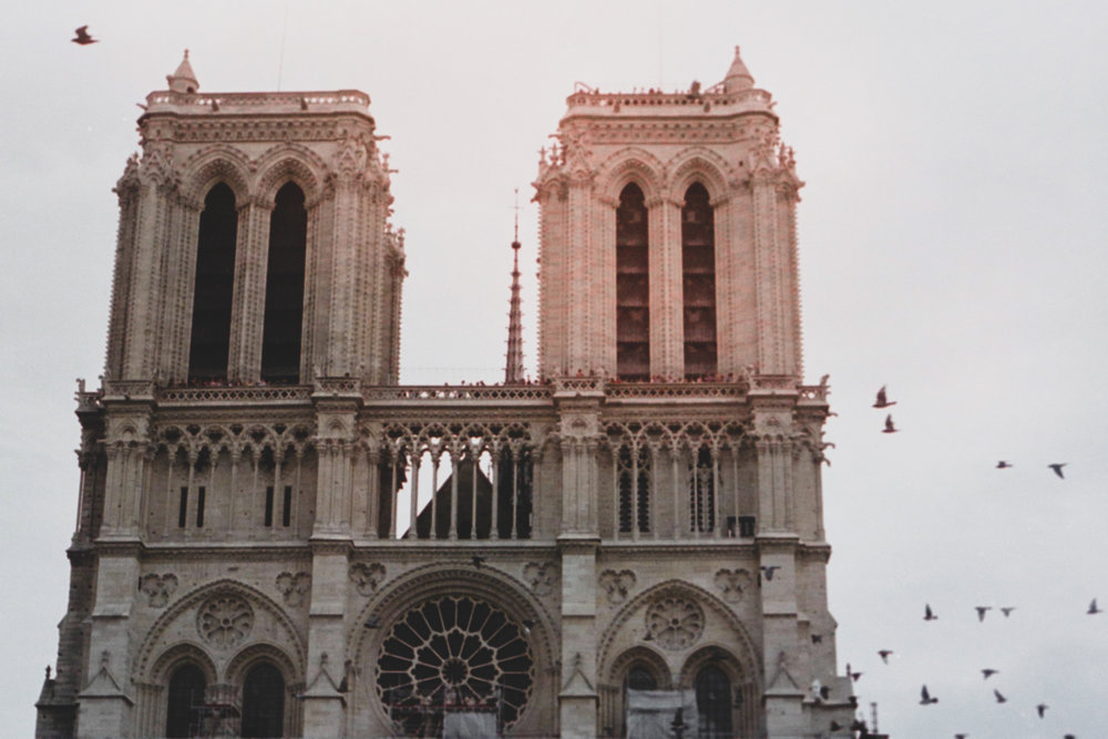 Notre Dame birds.jpg