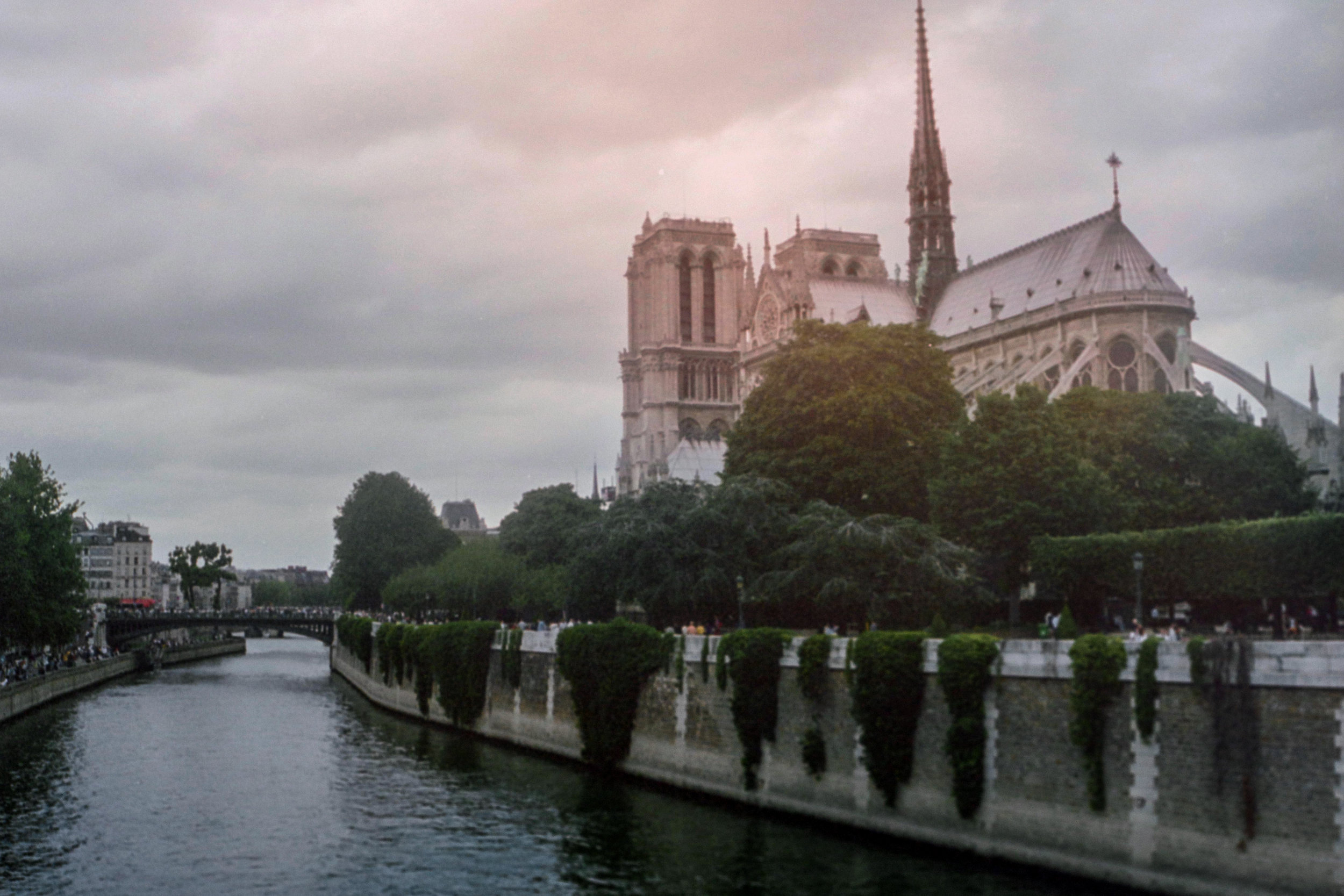 Notre Dame Seine.jpg