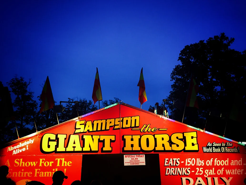 County Fair II - 30" x 22 1/2" - archival digital print