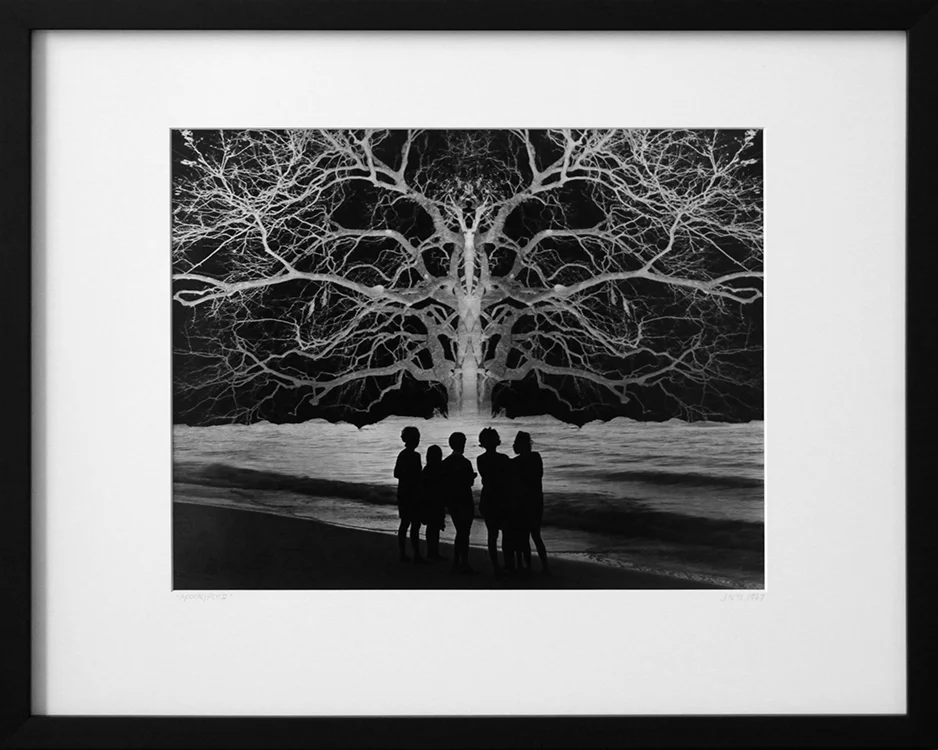Apocalypse 2 - 14" x 11 - silver gelatin print