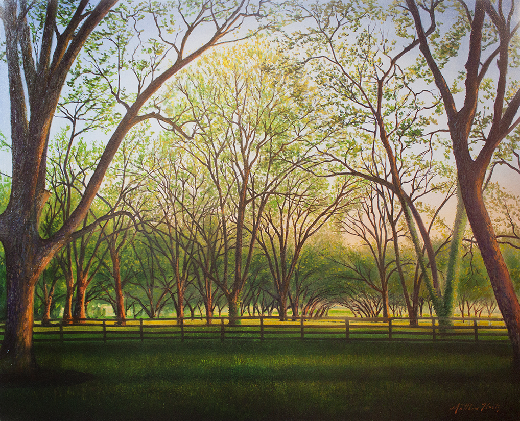 Pecan Orchard - 60" x 48" - oil on canvas