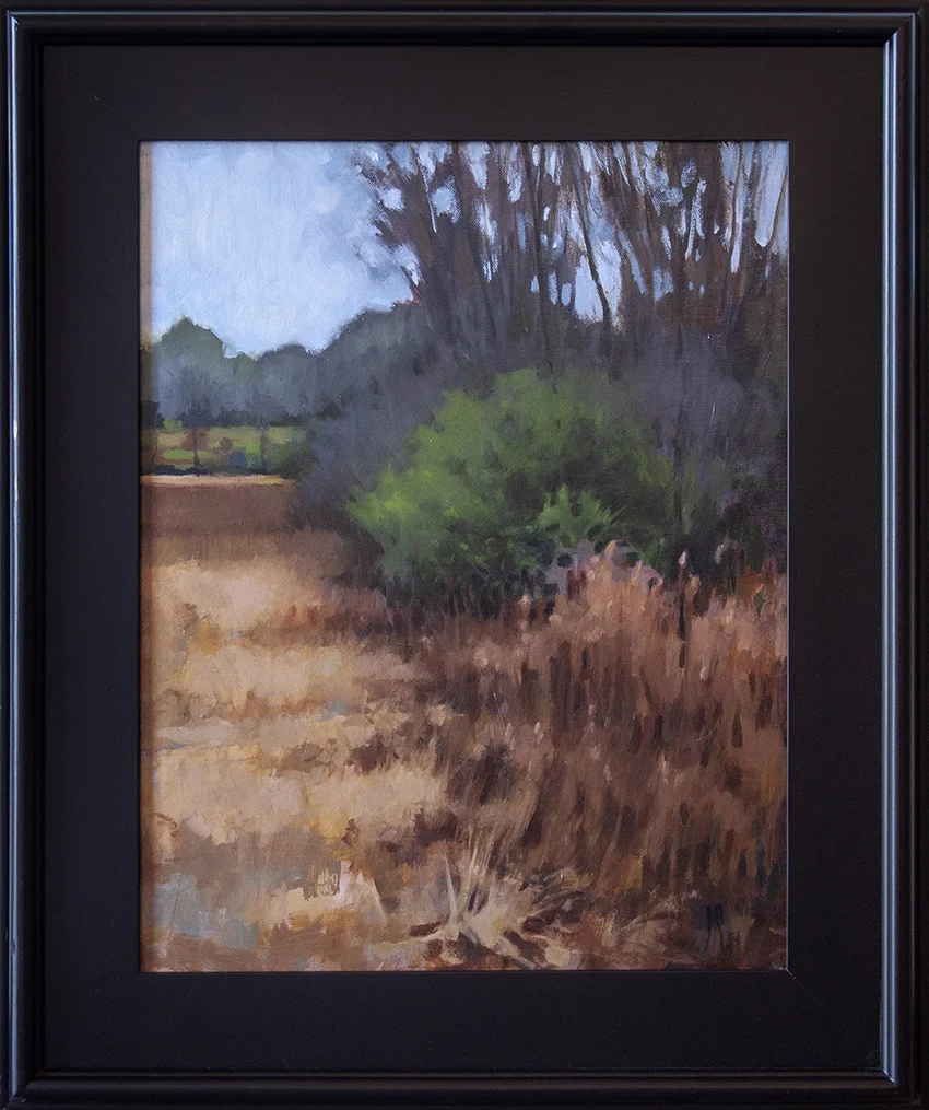 Dark Winter Grasses - 14" x 18" - oil on canvas
