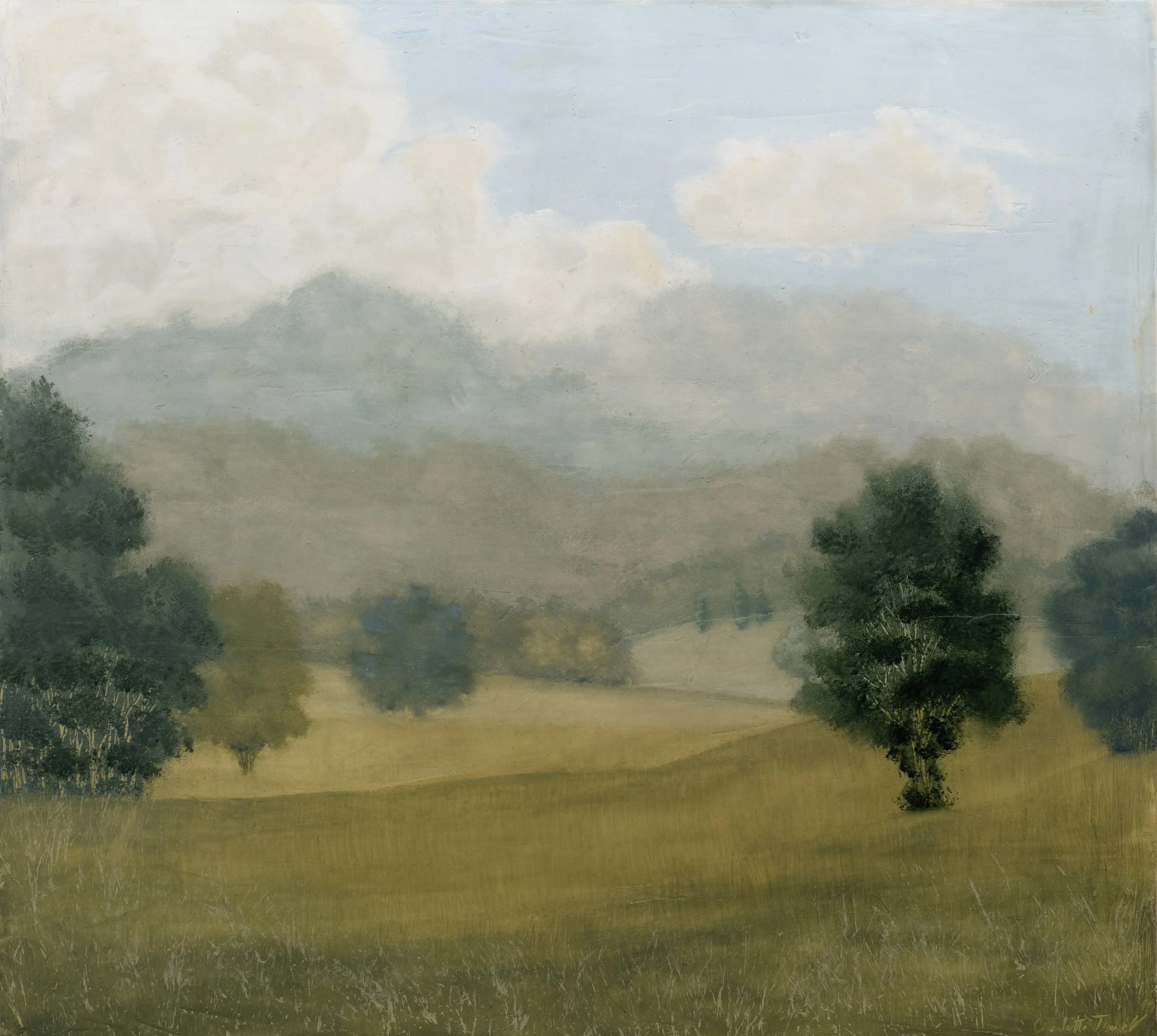 Fields of Sleep II - 40" x 36" - mixed media on panel