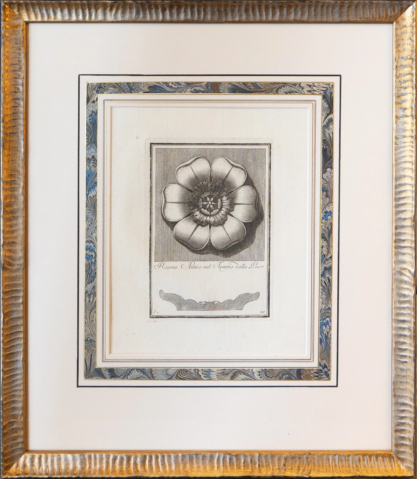Rosettes - Carlos Antonini, Manuale di Vari Ornamenti, 1782-90 - copper plate engraving