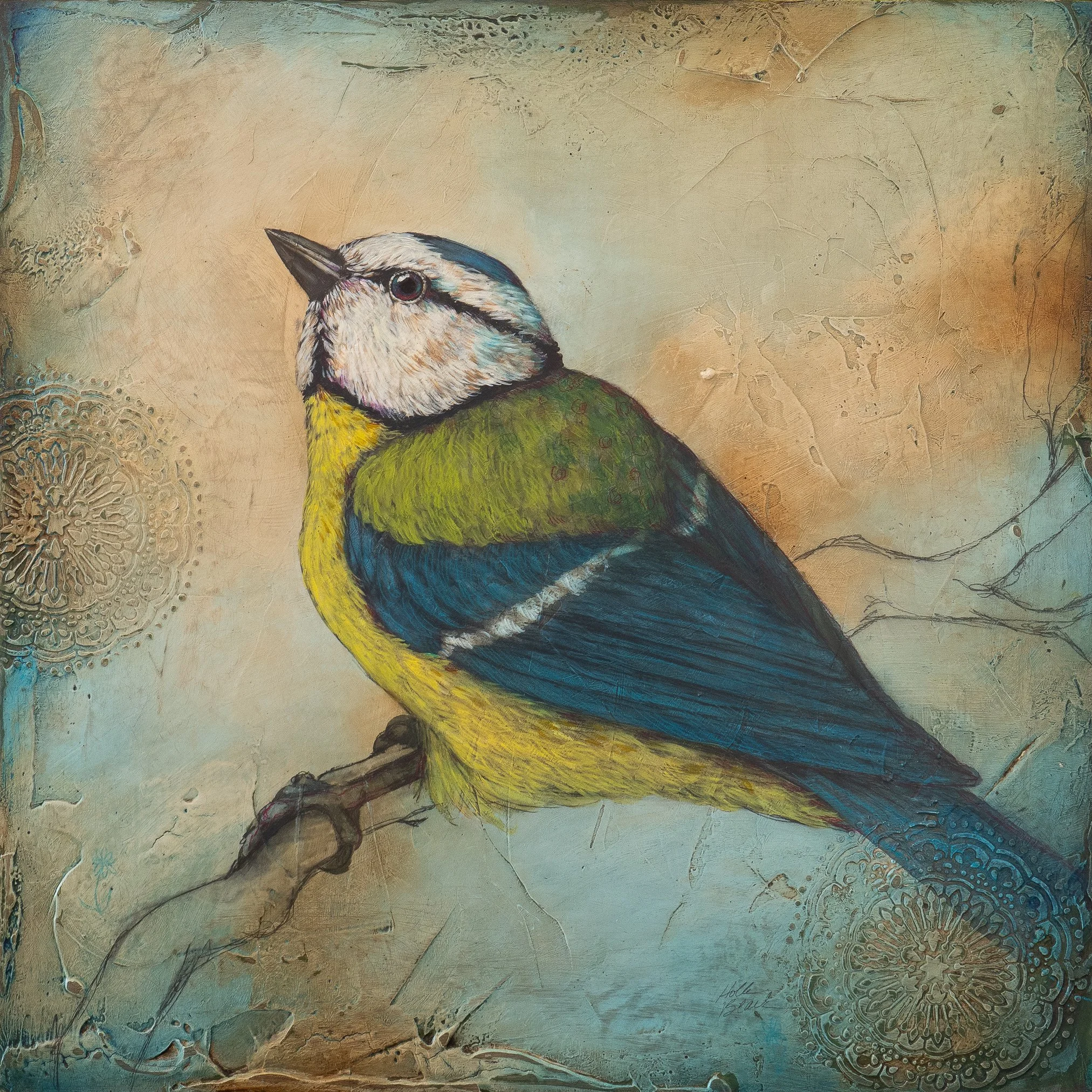 Blue Tit - 20" x 20" - oil and mixed media on panel