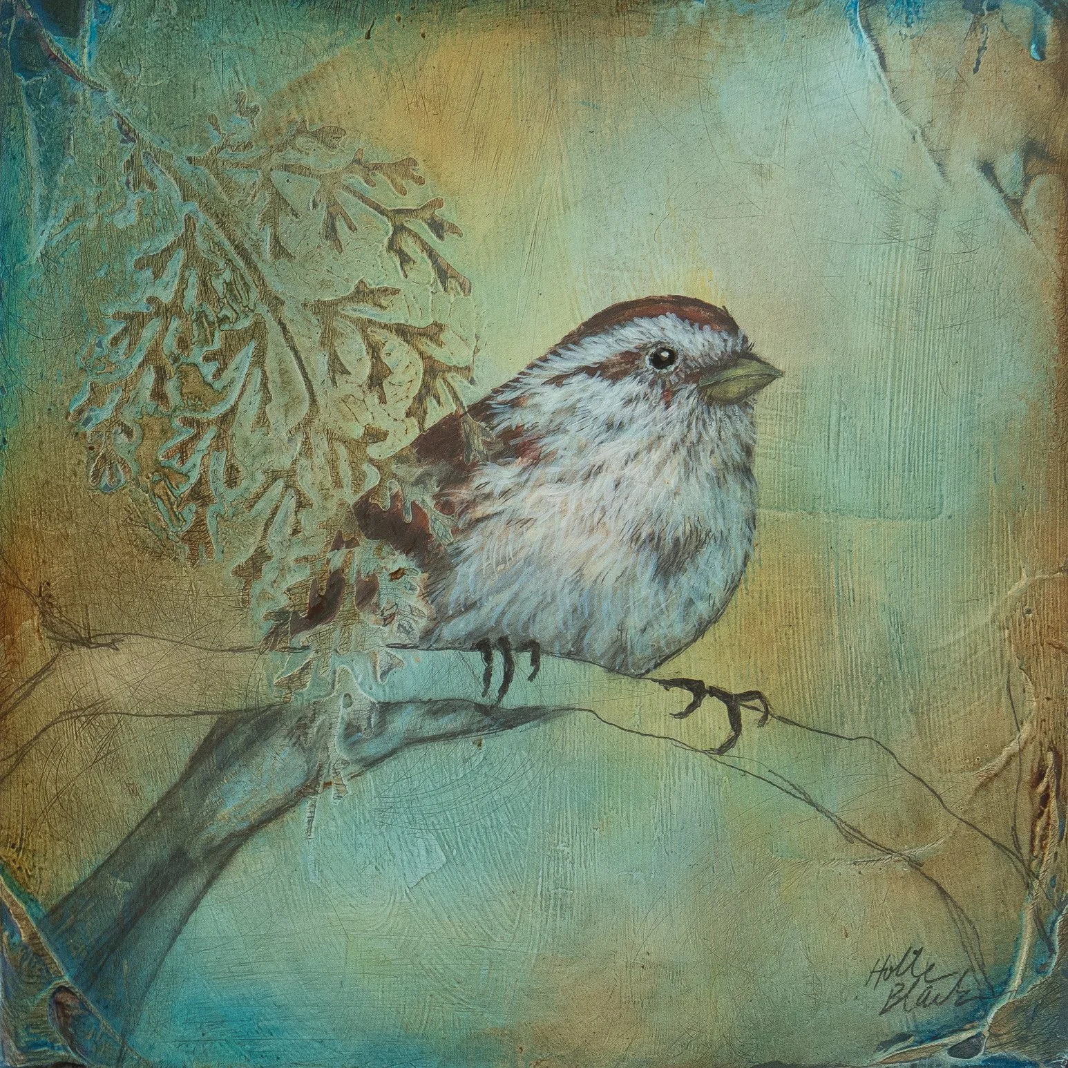 Holle Black - Sparrow - 6x6.jpg