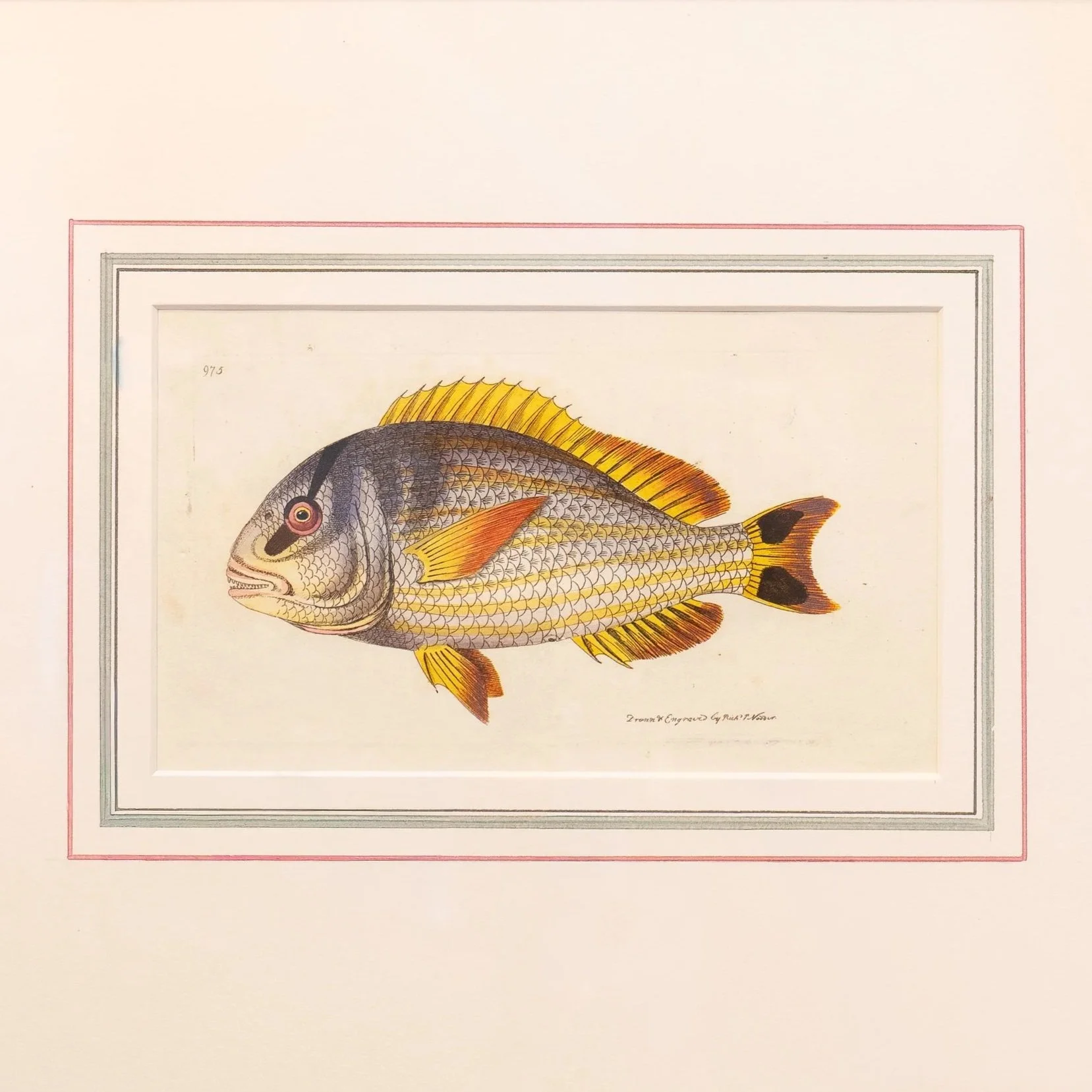 Antique Prints