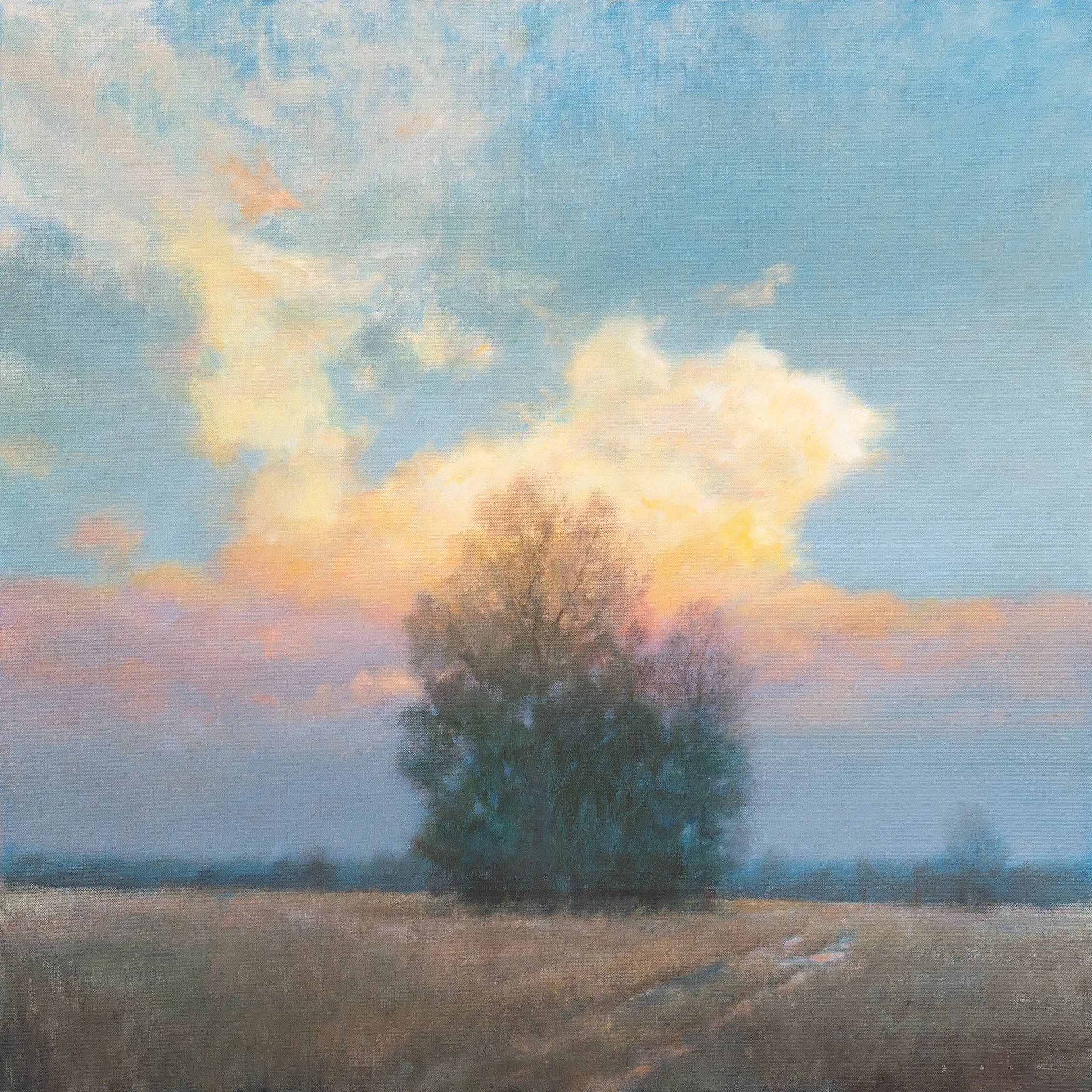 Stephen Bach