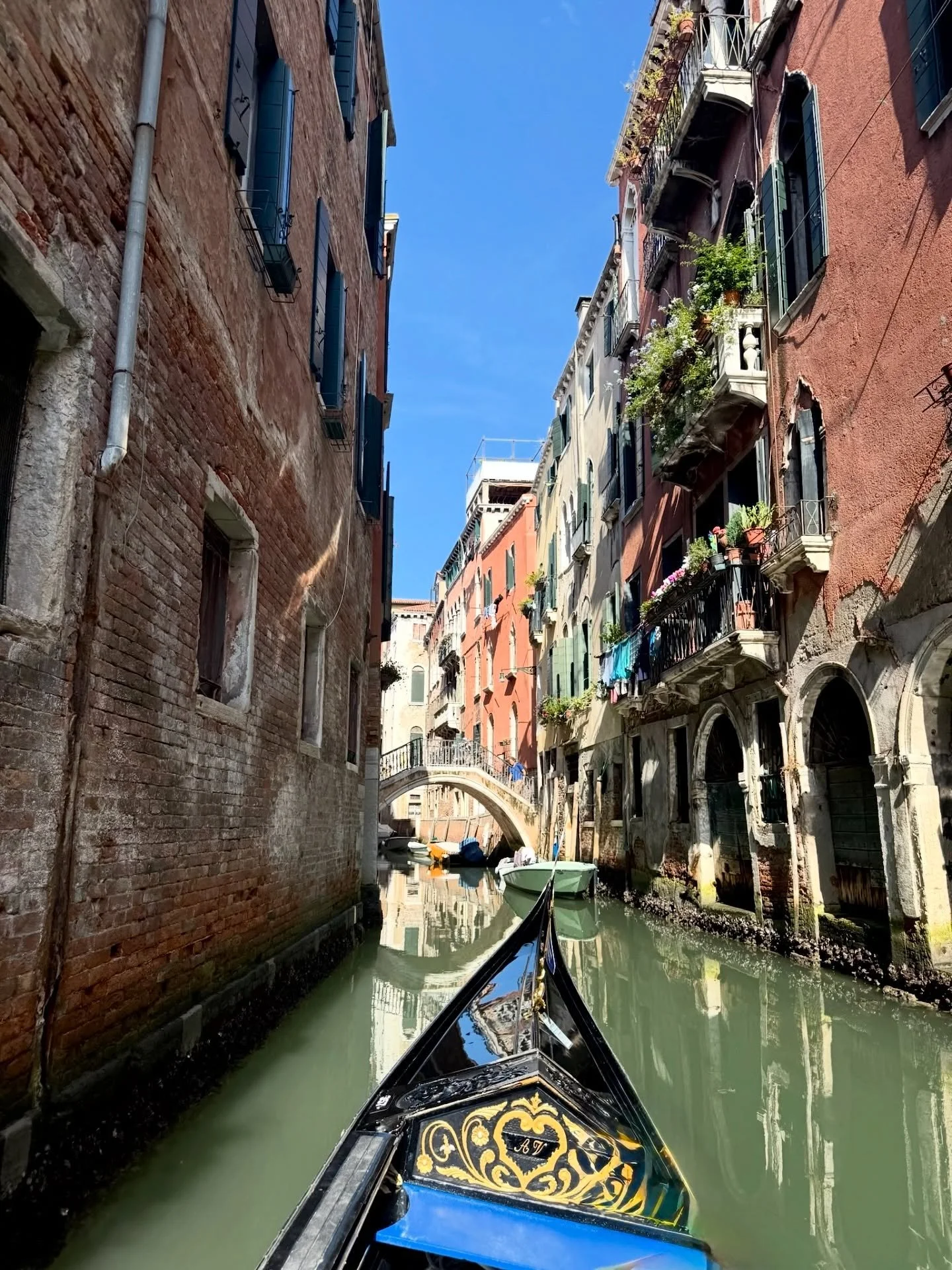 La dolce vita 🇮🇹✨