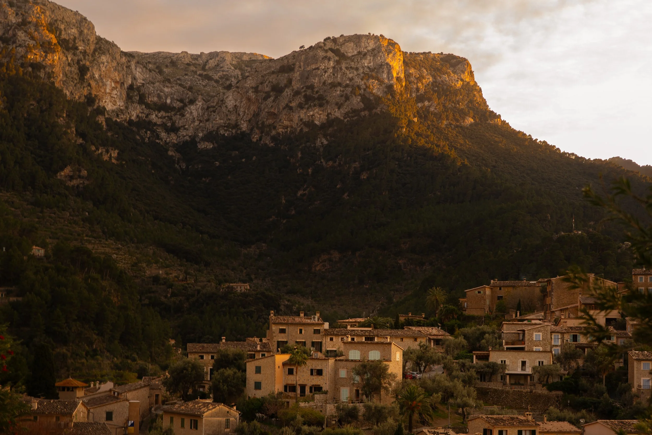 Tramuntana Light