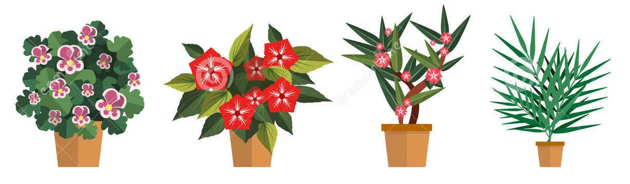 vector-set-flowers-illustration-different-types-pot-flower-icons-isolated-white-background-71844294 copy.jpg