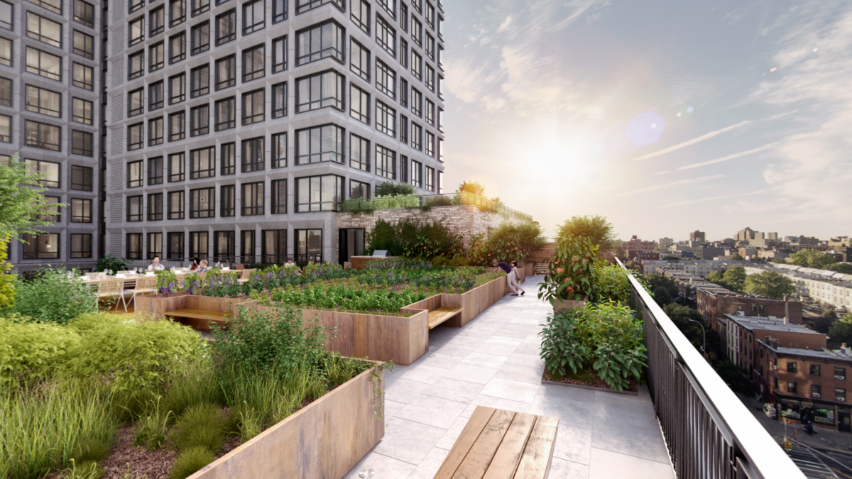 Garden-Plot-Rendering-1200x675.png