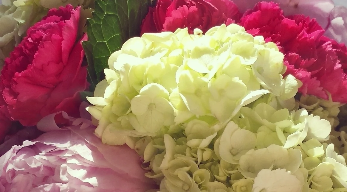 IMG_20160604_072600.jpg