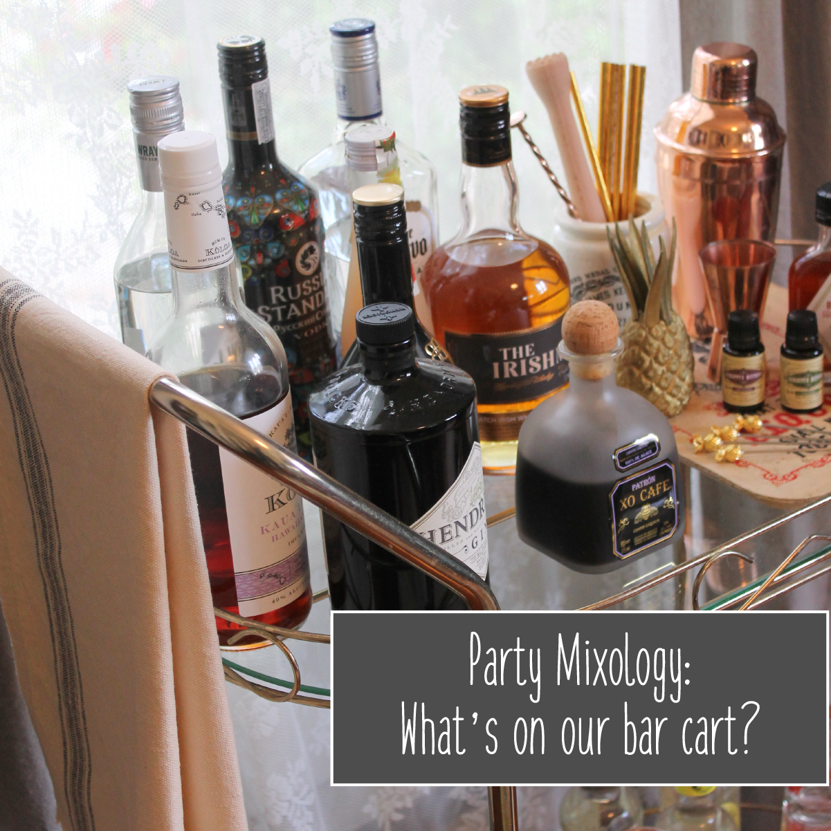 Party Mixology_bar cart-01.png