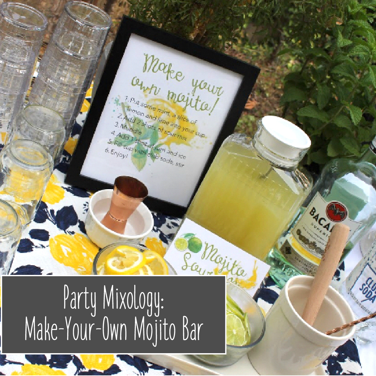 Party Mixology_mojito-01.png