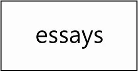 essays.JPG