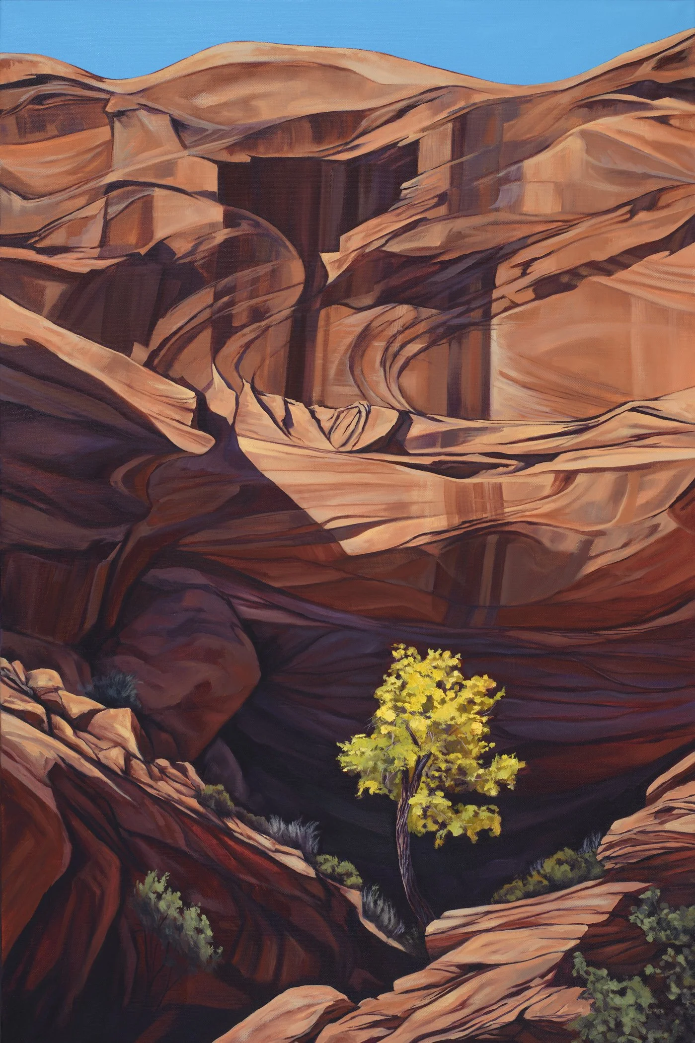 Anna Moore 01 05 08 25 small.jpg