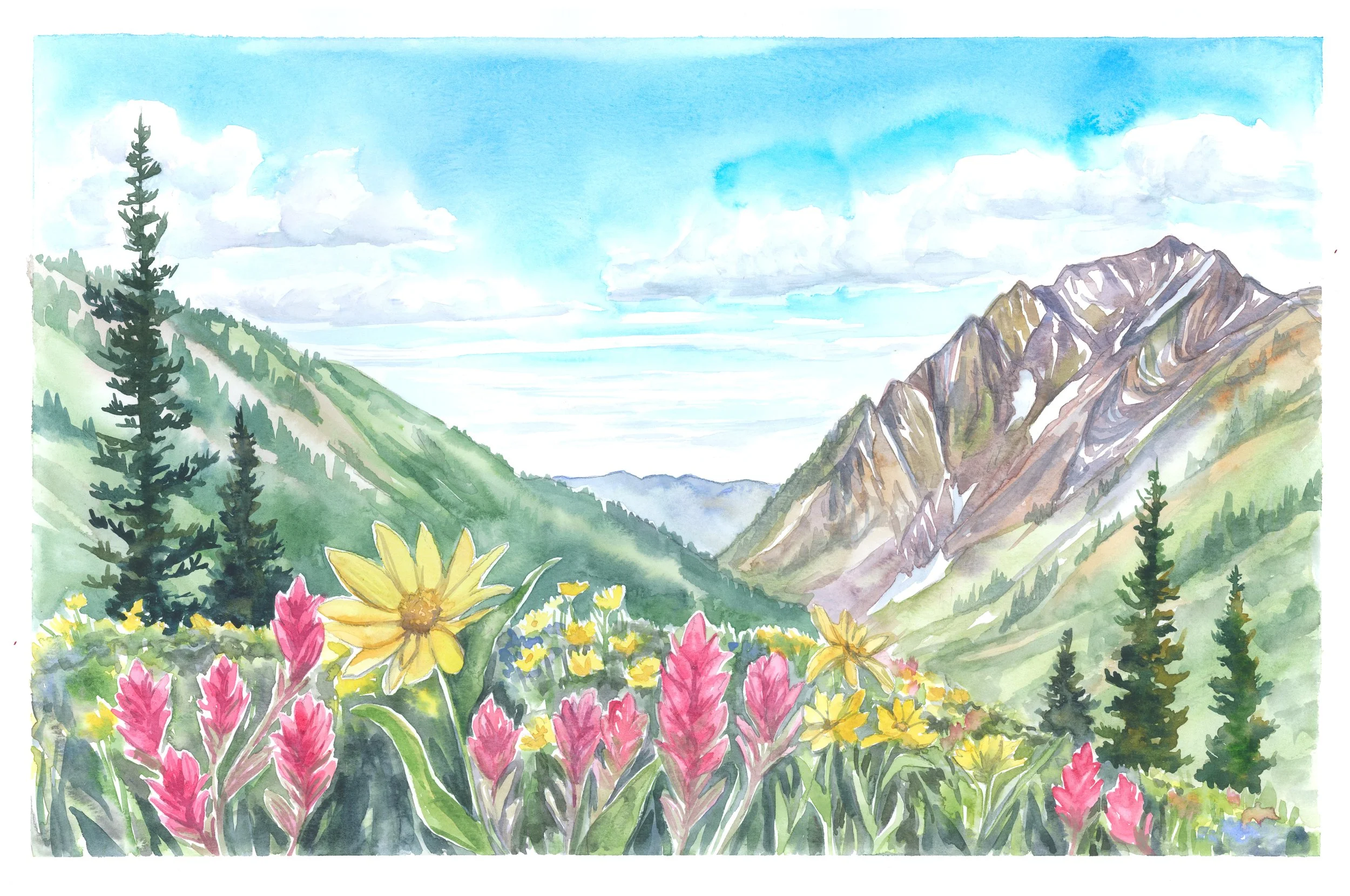 Print- Superior Bloom - 11x17".jpg