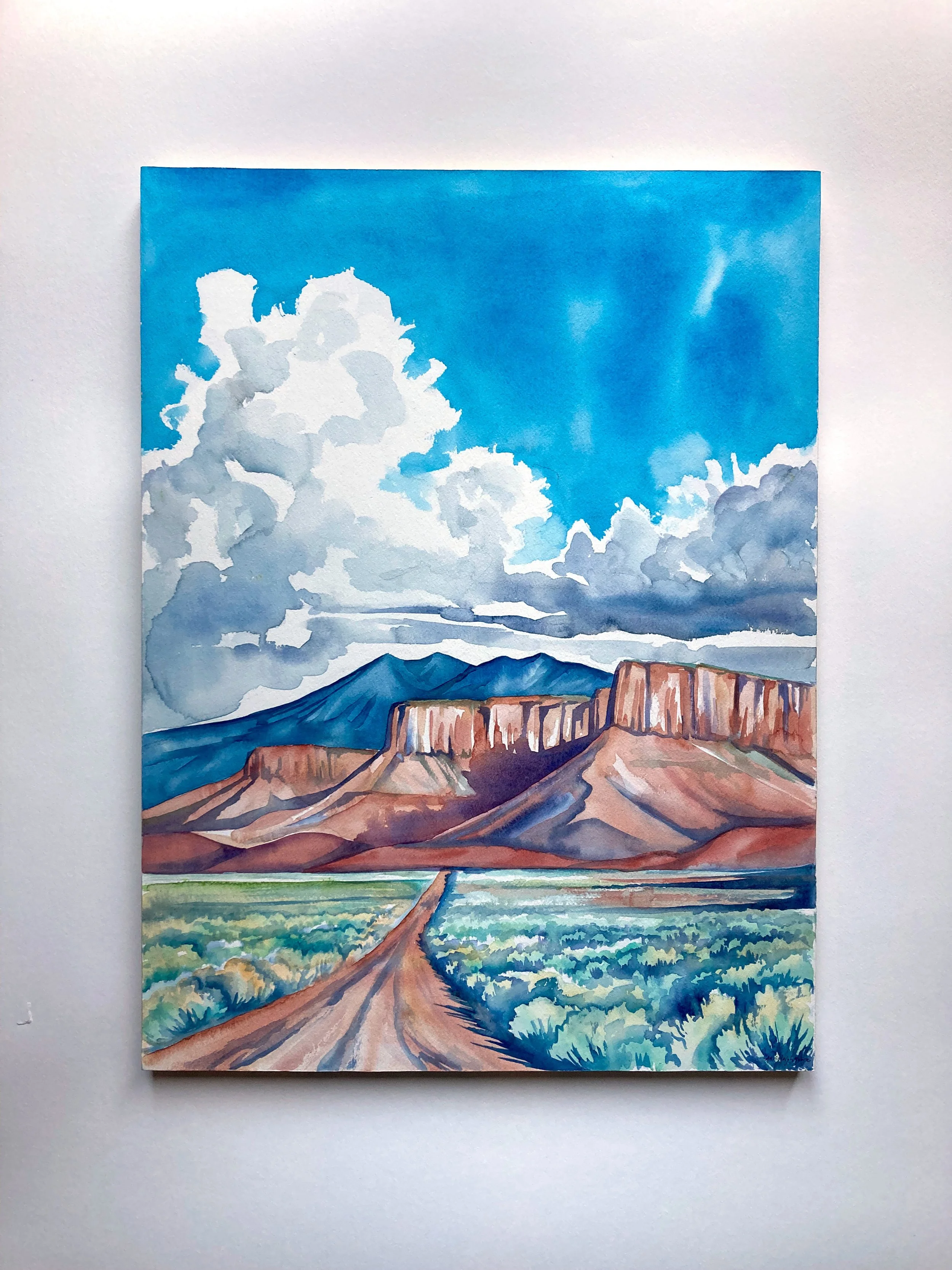 LA sal 1.jpg