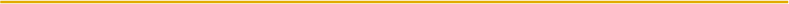long_yellow_line.png
