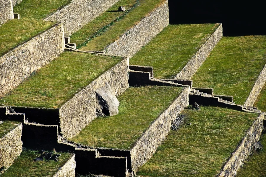 _2_Terrazas agricolas incas ultimo.jpg