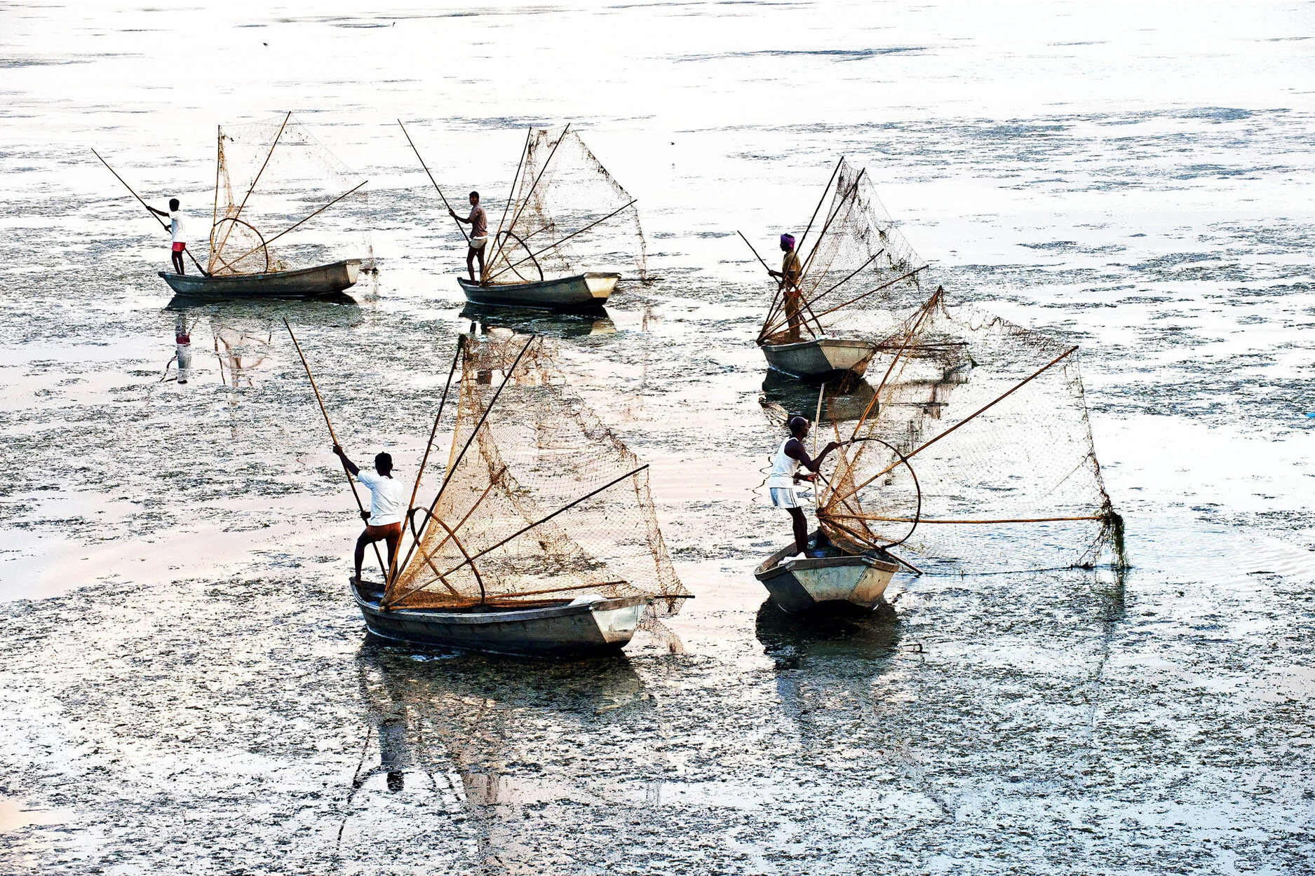 ___57_7_ABANICOS EN EL AGUA.jpg