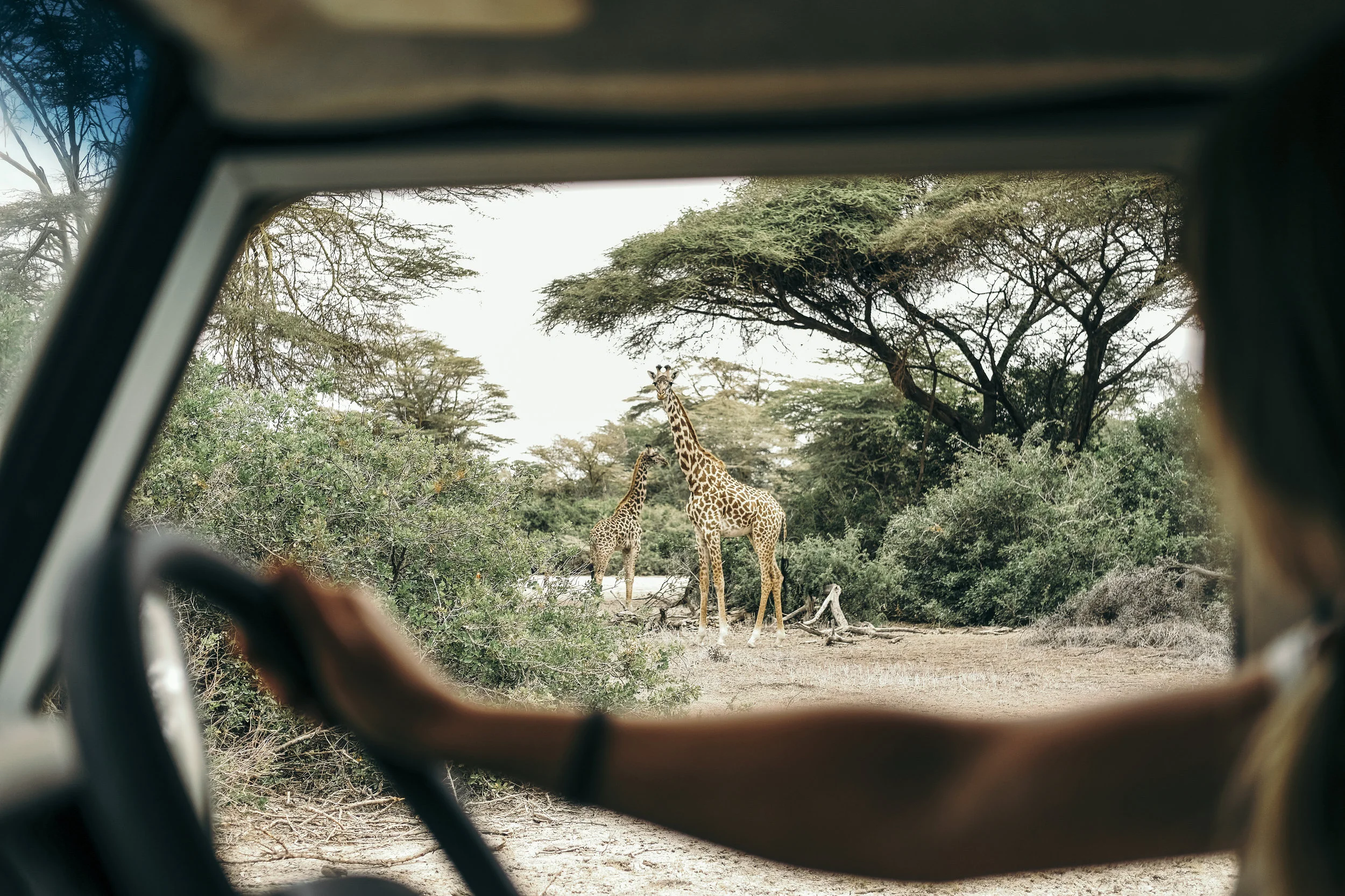 SINYA, TANZANIA
