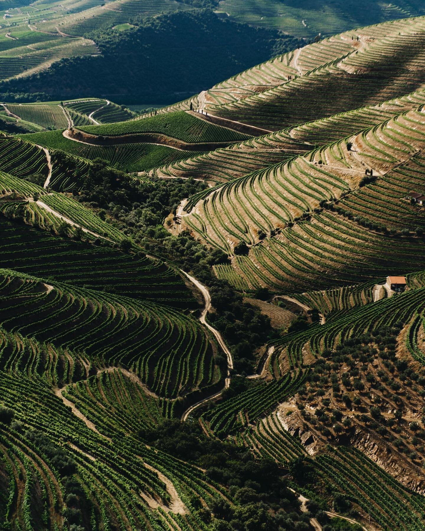 Vergeet de Balinese rijstvelden, de wijngaarden van de Douro is waar je moet zijn! Na bijna een week in het ruige uiterste noordoosten van Portugal te zijn geweest, tank ik nu (letterlijk en figuurlijk) even bij in de bekende wijnstreek bij Pinhão i