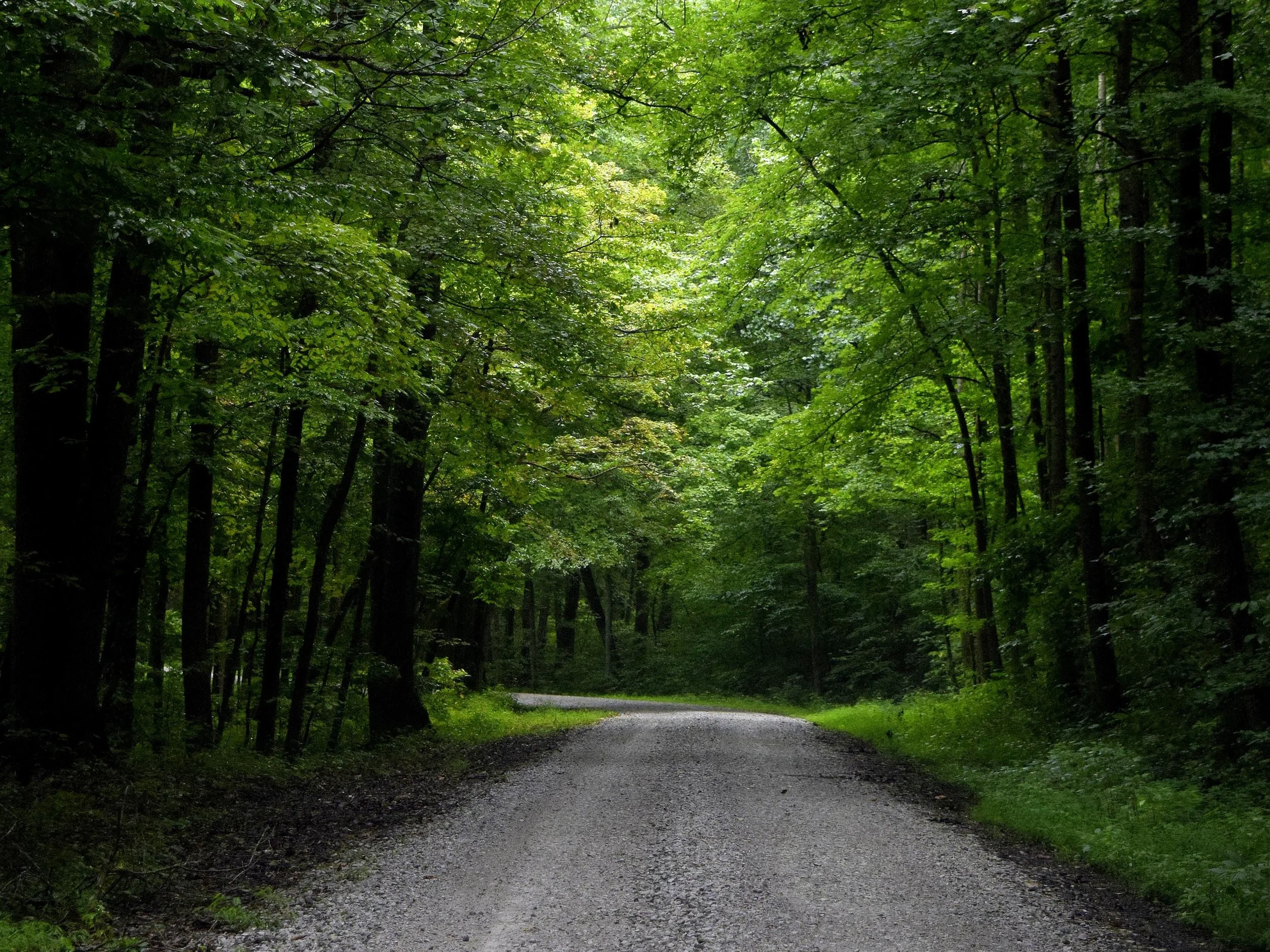 Country Road 43.jpg