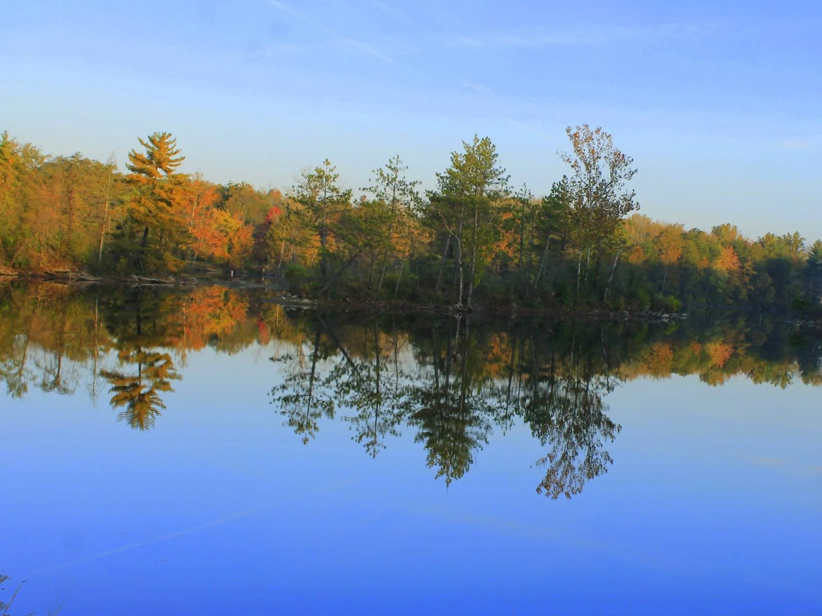 Woods with lake 43.jpg