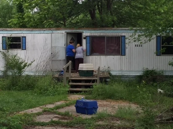 Elsewhere: In Sullivan County, woman arrested for animal neglect, 26 dogs rescued