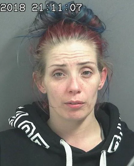 Woman in court yesterday charged with dealing methamphetamine