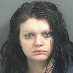 Woman agrees to plead guilty to attempted robbery
