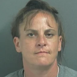 Arrested: Solsberry woman accused of breaking a man’s leg with a baseball bat