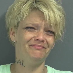 Linton woman accused of auto theft arrested over the weekend