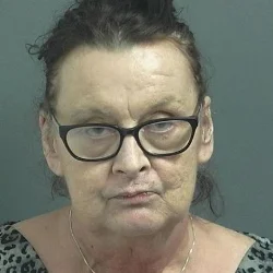 Woman jailed after Bloomfield officer doesn’t buy her story