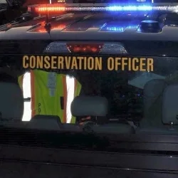 Three from Greene County area arrested, accused of theft and battery