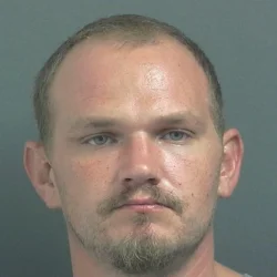 Bloomfield man arrested after domestic incident