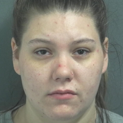 Couple arrested after Sunday morning fight