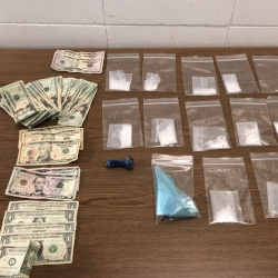 Two from Greene County arrested by Vigo County Deputy on numerous drug charges after chase