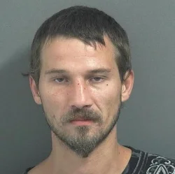 Convicted sex offender arrested twice in one week