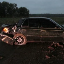No injuries reported after car crashed into tree on CR 1000 West early Tuesday