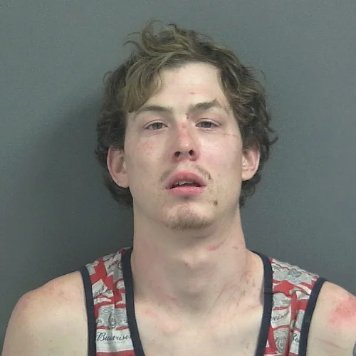 Bloomfield man charged with intimidation and pointing a firearm