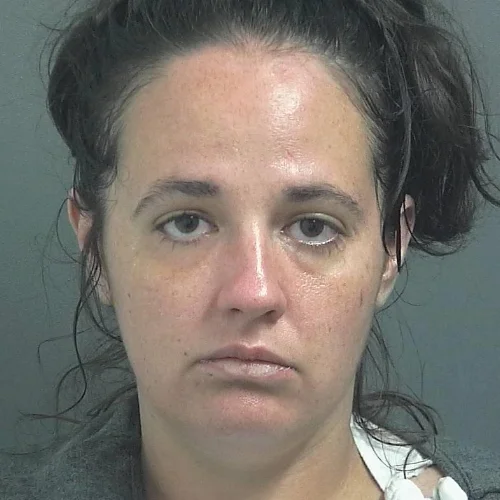 Jasonville woman to plead guilty of trespassing at Shakamak School